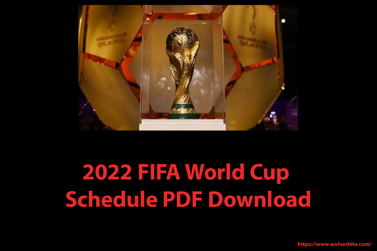 FIFA World Cup Schedule Download PDF 2022
