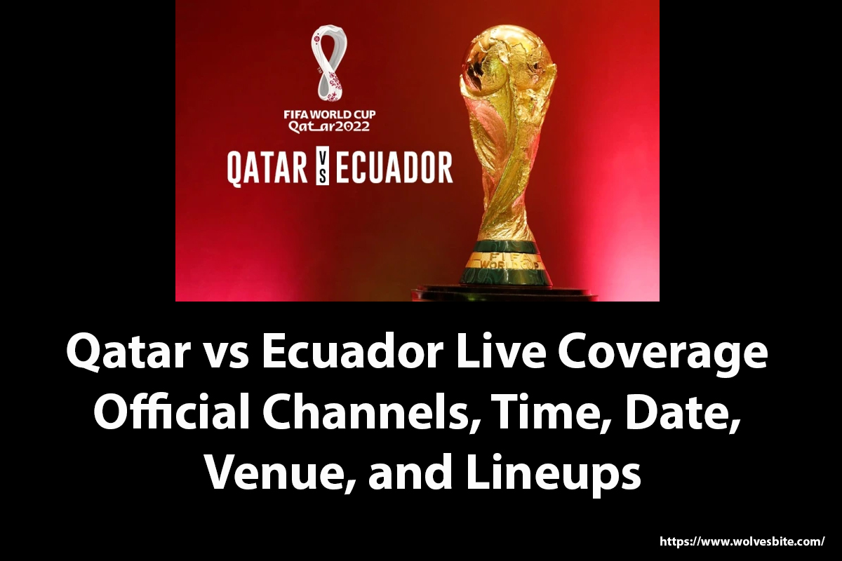 Qatar vs Ecuador Live
