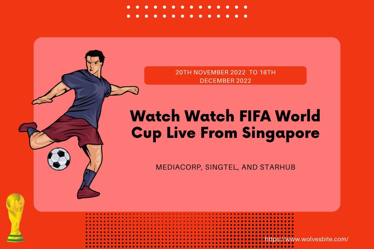 Watch the FIFA World Cup live from Singapore via MediaCorp,